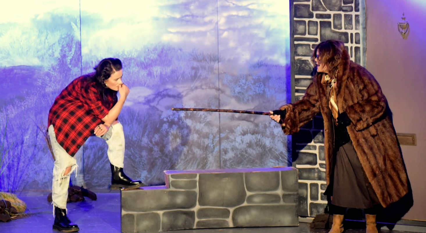 REVIEW: Tipperary drama group's production of By the Bog of Cats was ...