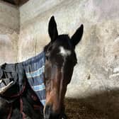 Photo credit: Hassett Racing Facebook page.