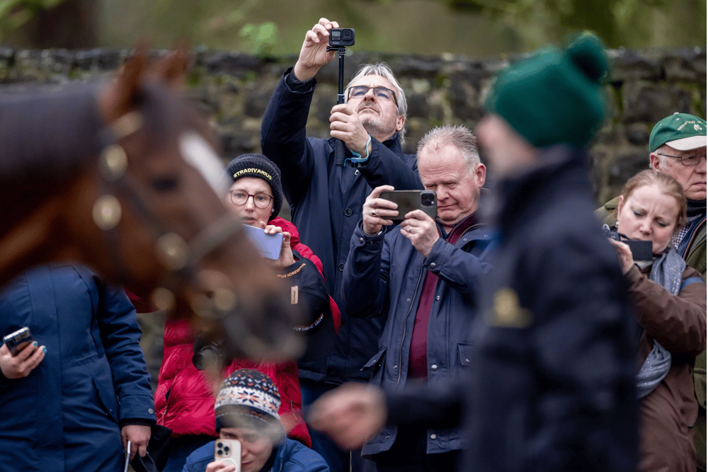 The trail presents a unique opportunity to see the equine champions in person at over 35 leading stallion farms across 12 counties