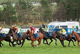 The Grade One Guinness 00 Faugheen Novice Chase is the highlight of the Christmas racing festival at Limerick