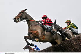 Christmas horse racing tips including 12/1 shot at Leopardstown on St Stephen's Day