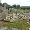 The Knockroe Passage Tomb near Ahenny village is one of the Lingaun Valley's hertigate sites