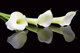 Deaths in Tipperary - Friday, December 21, 2018