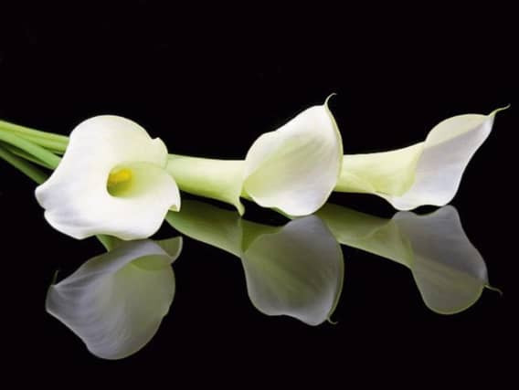 Deaths in Tipperary - Friday, December 21, 2018