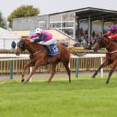 Work on the new all-weather track at Tipperary Racecourse will    start in the first quarter of 2026