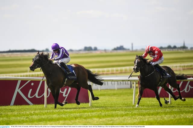 HOrse Racing Ireland welcomes go ahead for new all weather track