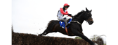 Saint Sam jumping the last on his way to victory in the 2024 Clonmel Oil Chase. The 2025 renewal takes place on this Thursday November 6. The first race is at 12.35pm