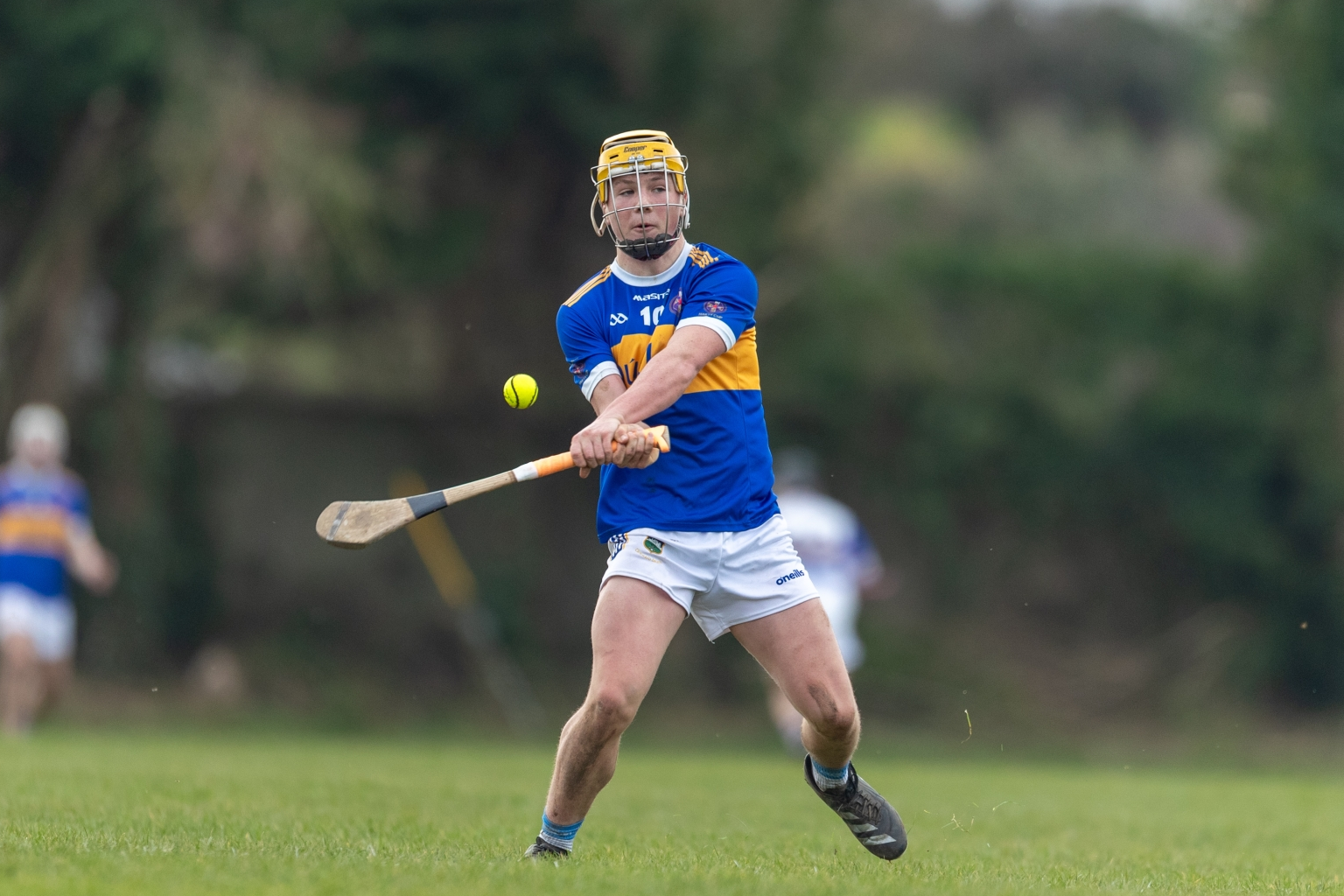 HARTY CUP: Ryan runs riot for Thurles CBS in a demolition of Waterford ...