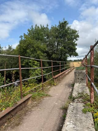Photo taken by Cllr Máirín McGrath of the Tipperary Heritage Way footbridge over the river Tar.