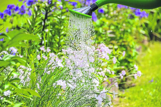 The money is for a ‘Growing Social Garden for Nature /Gardening South Gardening North’ project