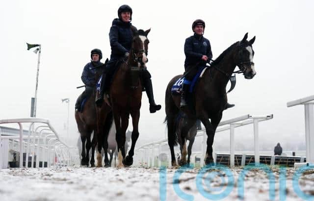 Snow had greeted early risers at the famous racecourse but Camilla arrived in sunshine as punters poured through the gates ahead of the first race.