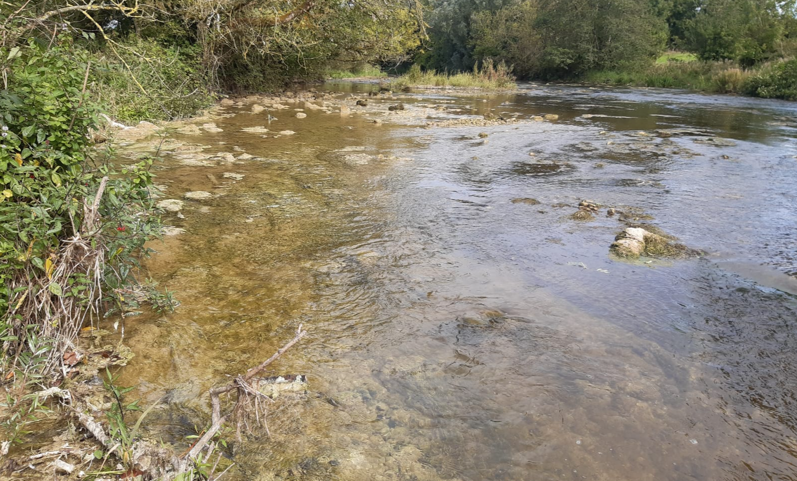 LATEST: IFI secures river pollution conviction against group in Tipperary