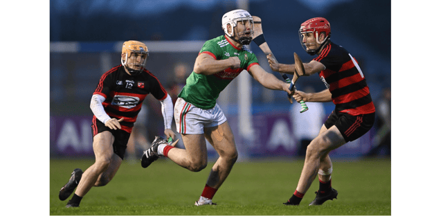 PIC: Sportsfile