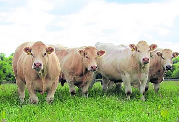 IFA Farm Family & Social Affairs Chair, Alice Doyle has issued an appeal to farmers