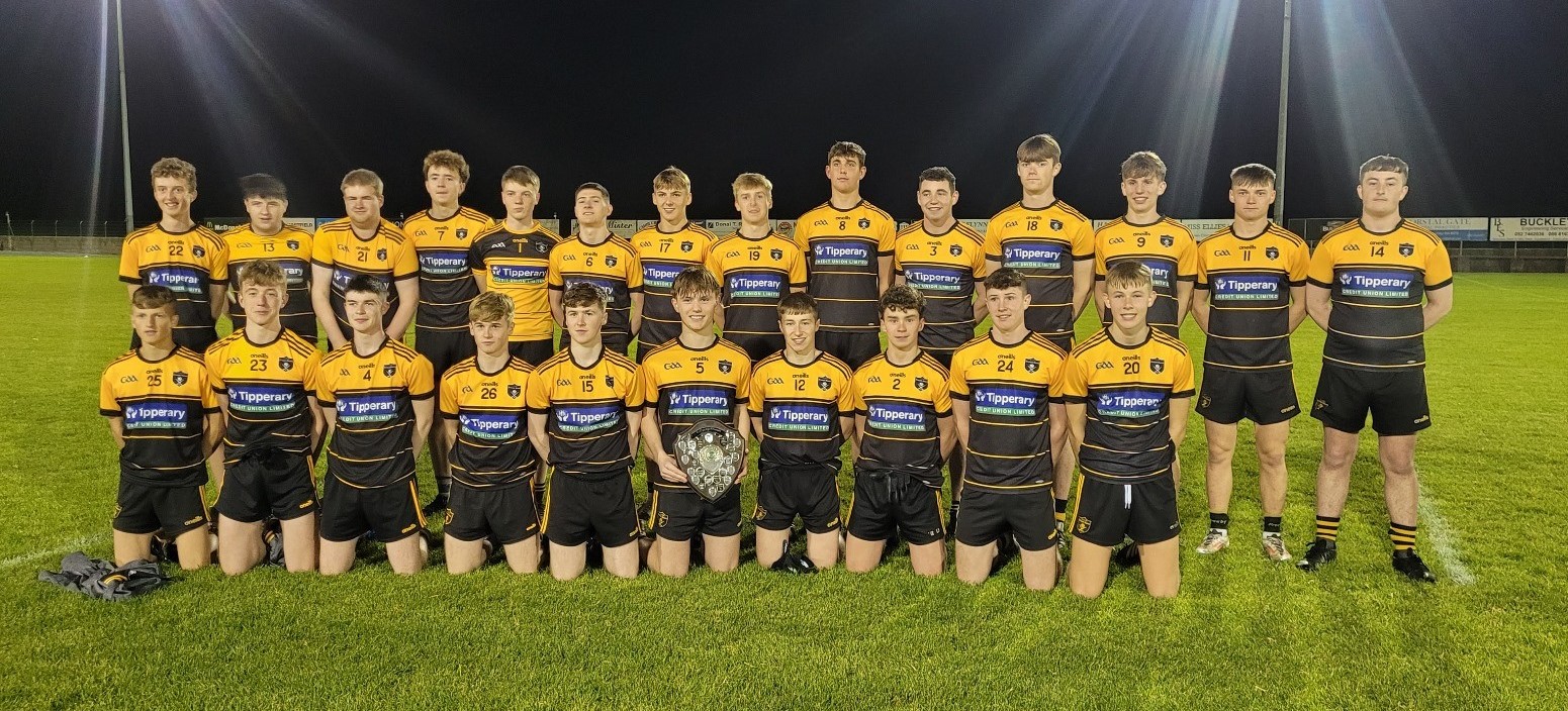 West kings Arravale complete football and hurling double in fine style