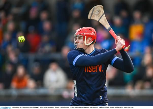 Tipperary goalkeeper Rhys Shelly played well for Moycarkey Borris