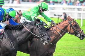 The Punter's Eye Horse Racing Tips