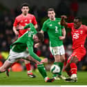 Ireland v Hungary: TV channel, team news and betting odds for friendly clash