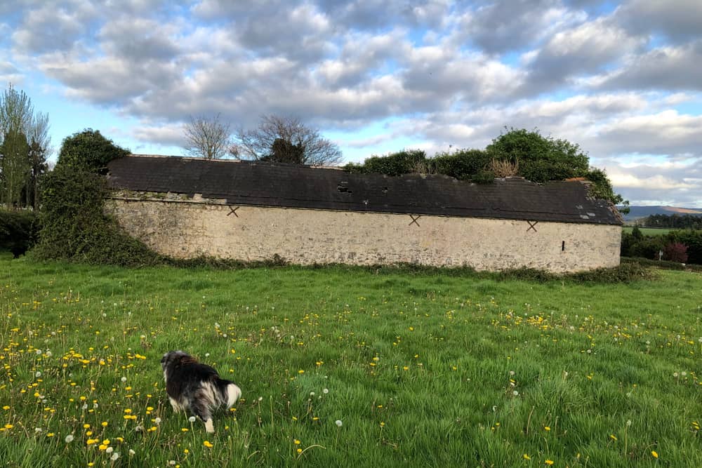 The beautiful old courtyard farmyard on the Fethard Road