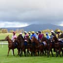 The first race goes to post at 4pm and the last race of a seven-race card is at 7.15