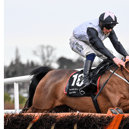 Kala Conti, with Danny Gilligan up, jump the last on their way to winning the Mercedes Benz South Dublin Juvenile Hurdle at Leopardstown. Picture: David Fitzgerald/Sportsfile