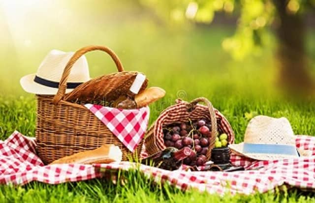 Enjoy a picnic in The Premier County