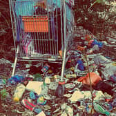 Discarded tins, bottles and other items became a problem when they got into the roots of hedges, said Cllr John FitzGerald