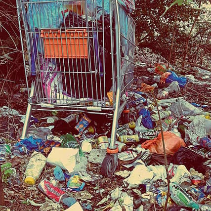 Discarded tins, bottles and other items became a problem when they got into the roots of hedges, said Cllr John FitzGerald