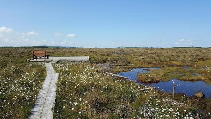 Scohoboy Bog outside Cloughjordan