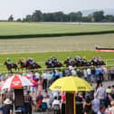 Powerstown Park in Clonmel will host its annual Summer Barbecue Race meeting this evening, Friday