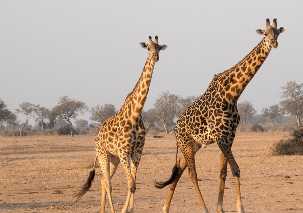 Edith Carroll and Sarah Ryan will travel to Lusaka, Zambia, to participate in a four-week volunteering programme led by SERVE.