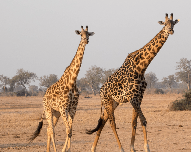 Edith Carroll and Sarah Ryan will travel to Lusaka, Zambia,  to participate in a four-week volunteering programme led by SERVE.