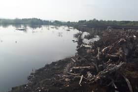 A portion of the bog under water