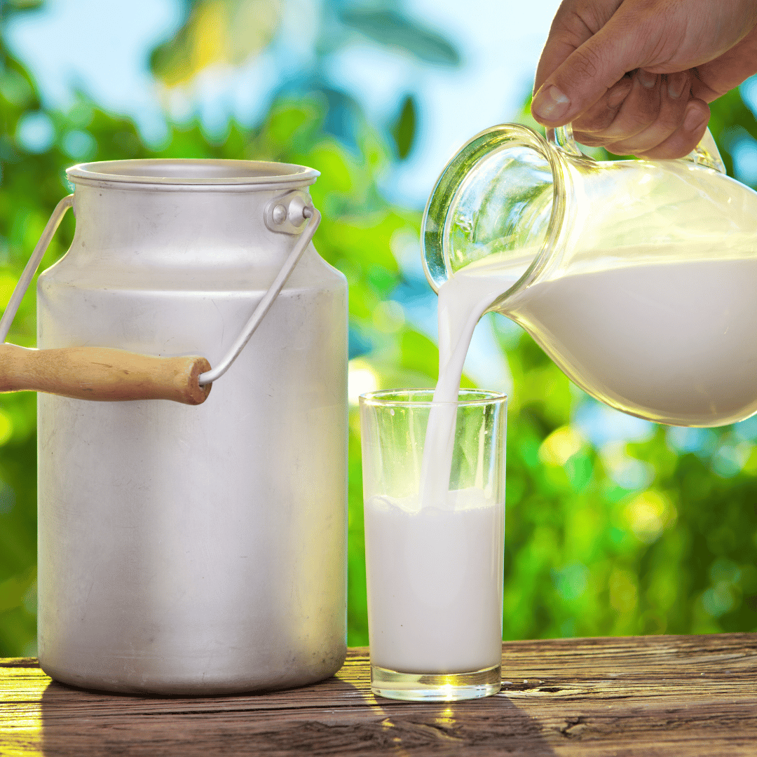 COLUMN: Your MILK explained - dairy versus plant-based milk alternatives...