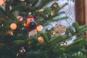 Sitka Spruce Christmas tree
