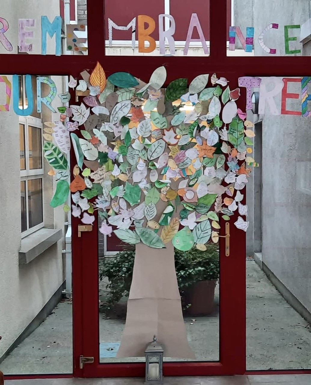 Presentation Thurles students create a beautiful November Tree of ...