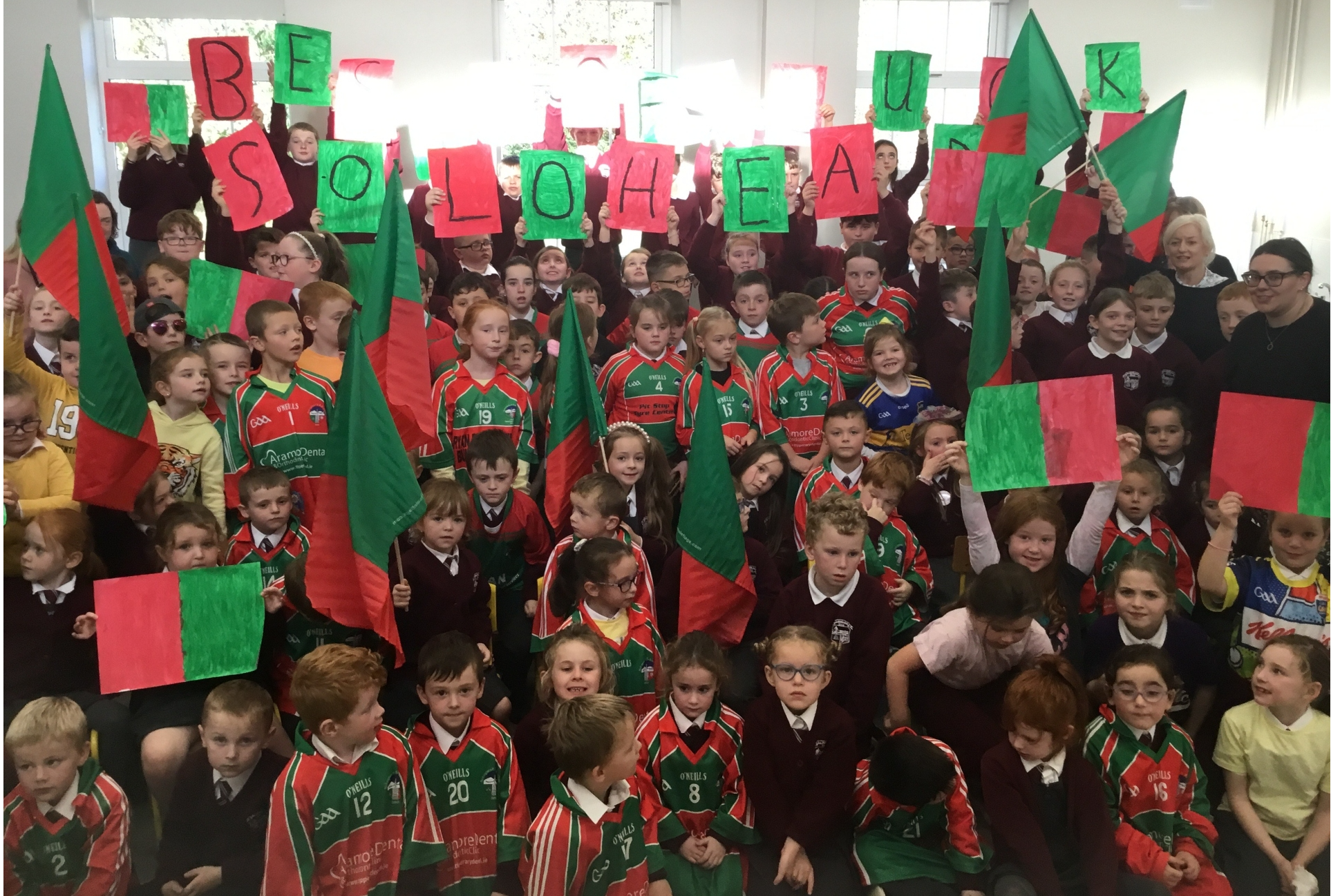 The young boys and girls of Sologhead National School are delighted to get behind the local GAA Club as they prepare for Sunday's County Junior B Hurling Championship Final against Sarsfields.