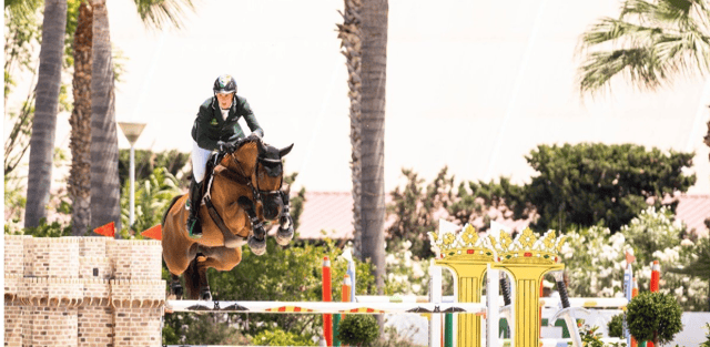 Talented showjumper Max Wachman, from Goolds Cross, near Cashel, has been in great form this year and will be looking to extend his winning streak at the Dublin Horse Show this week