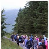 Nenagh Walking Club is off to the Slieve Blooms for a midsummer trek