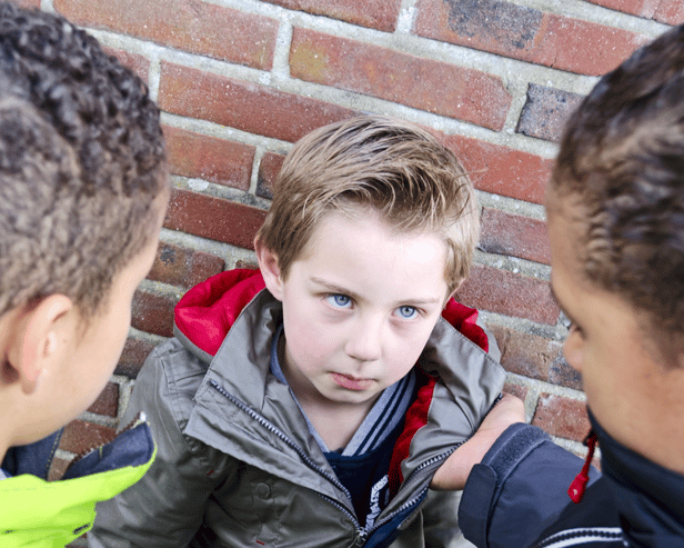 A nationwide survey of bullying in first and second level schools conducted by Trinity College Dublin estimates that some 31% of primary and 16% of secondary students have been bullied at some time