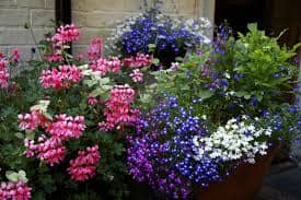 The Spring Flower Show will be held on Sunday April 10