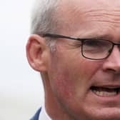 The Government in Dublin has repeatedly made clear its opposition to a proposed amnesty for Troubles offences