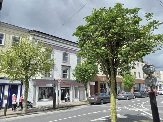 The trees in O’Connell Street, Clonmel are due to be removed as part of a town redevelopment plan