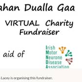 Donate online at www.gofundme.com