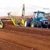 Thing of the past: peat production on Bord na Mona bogs has ceased