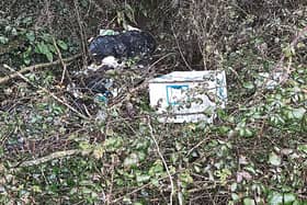 Cllr John Carroll has condemned litter dumping outside Nenagh