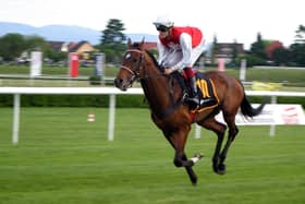 Horse Racing Ireland announce new dates for cancelled race meetings