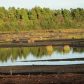 Nature fights back - time in the bog in Littleton