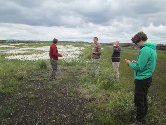 Bog Rehabilitation at Baunmore in June 1998. Left to right: Mark McCory, Michael Long, Cabragh Wetlands, Peter Ryan, Bird Watch Ireland and Jaime Dollard, Kylemakill