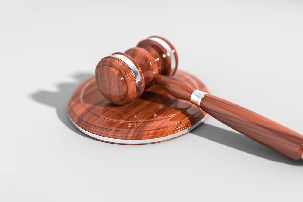 South East student appeals jail term for hit and run